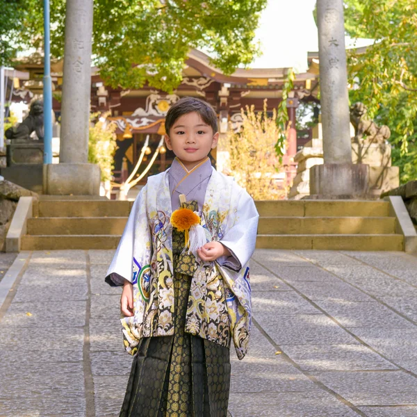 七五三出張撮影 新宿諏訪神社