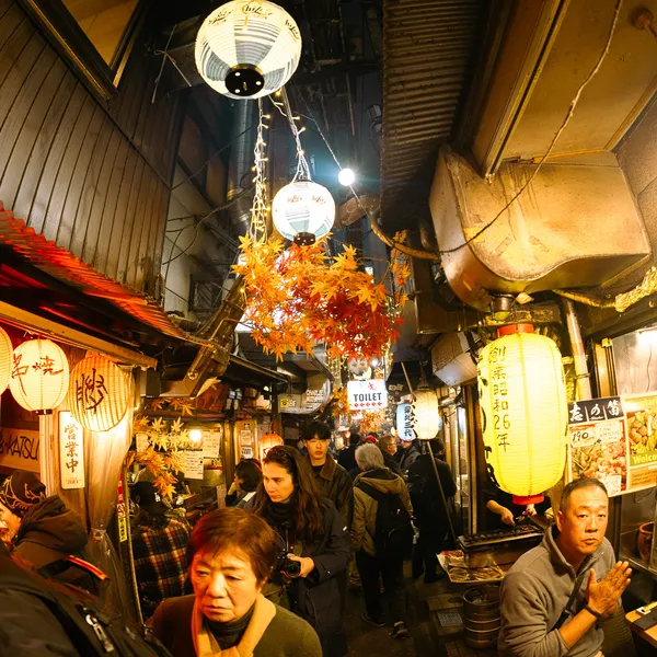 Omoide Yokocho Lanterns Shinjuku Tokyo