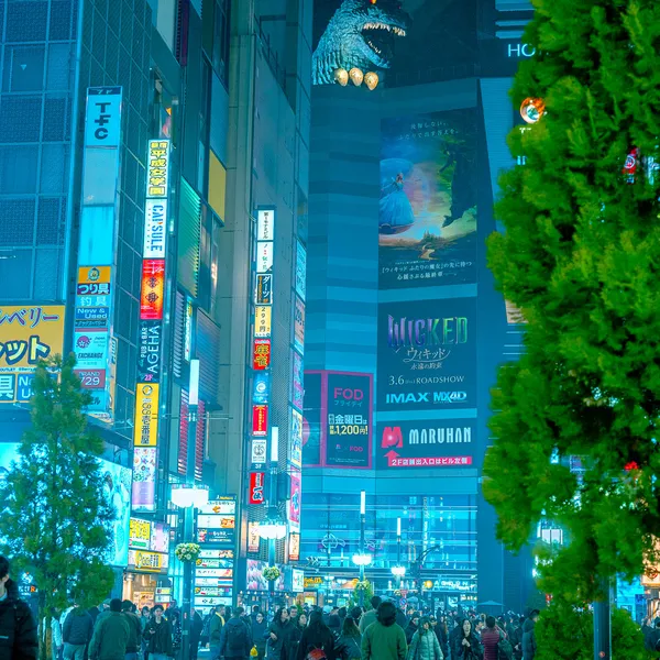Godzilla Road Kabukicho Shinjuku Tokyo