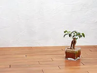 商品イメージ写真1